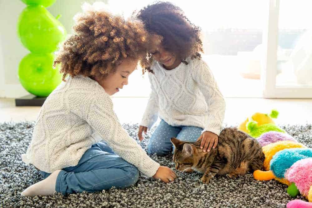 Two girls with a kitten. Two girls with a kitten.